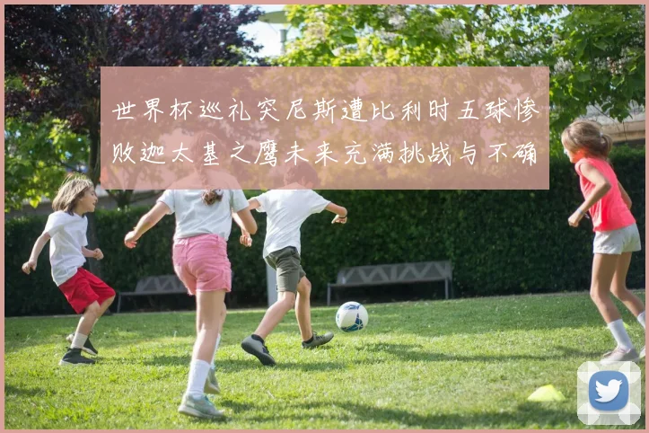 世界杯巡礼突尼斯遭比利时五球惨败迦太基之鹰未来充满挑战与不确定性